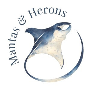 Mantas & Herons