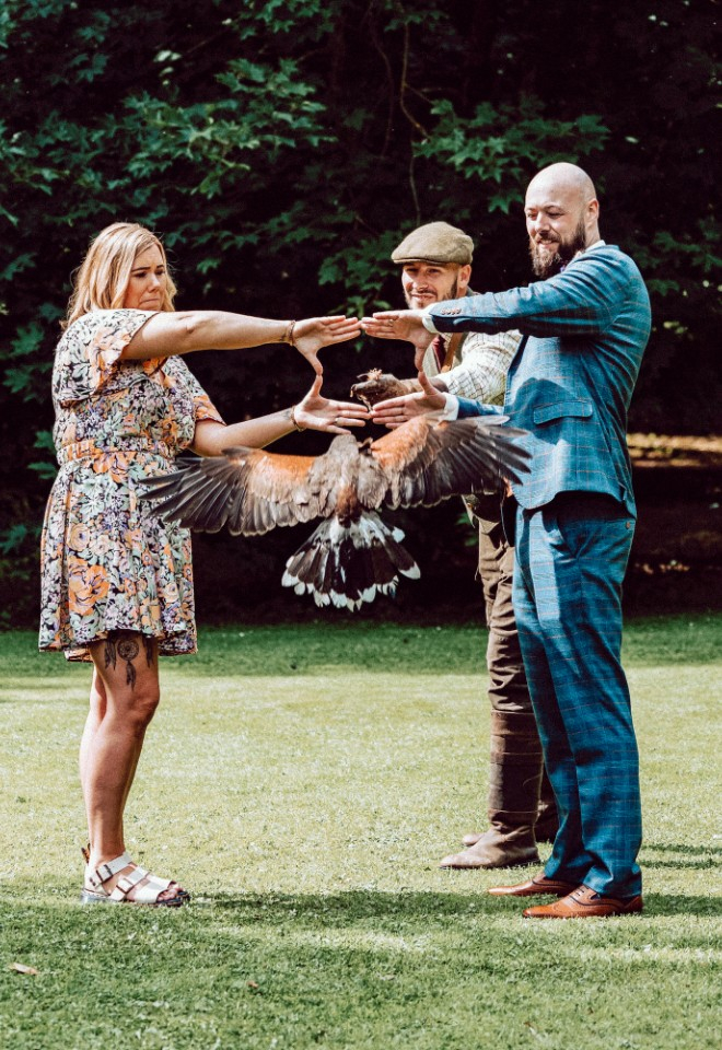 Hawk flight show at Breckenhill