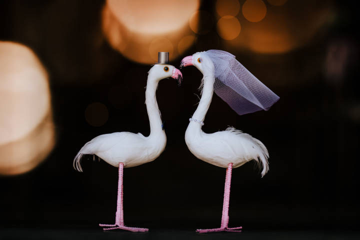 Sophie and Ben - A Cambridgeshire Barn Wedding with a Hot Pink Theme gallery image