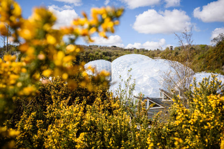 Bernice and Peter - A Rainforest Inspired Wedding At The Eden Project gallery image