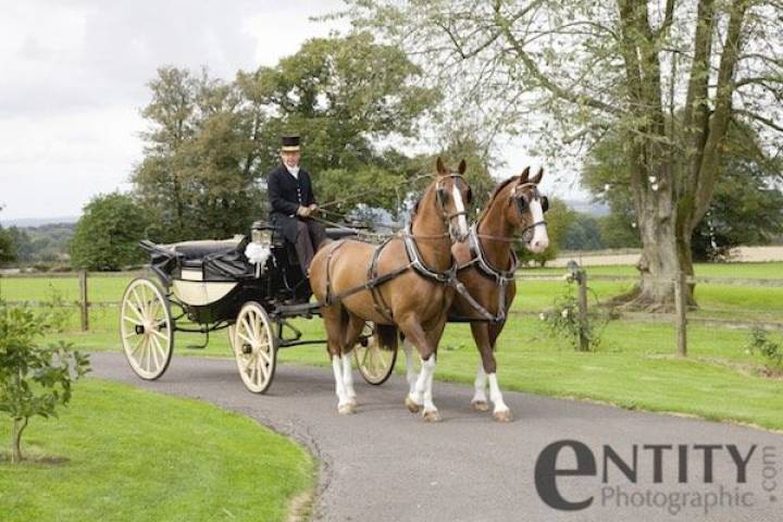 Hayley and Rich - A Fairytale White Wedding gallery image