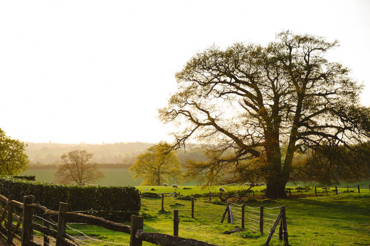 Lucy and Aaron - A Flower-Filled Country Barn Wedding in Essex gallery image