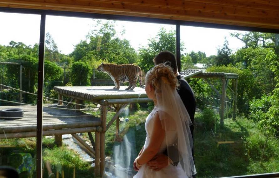 Paradise Wildlife Park | Unusual Wedding Venues | Guides for Brides