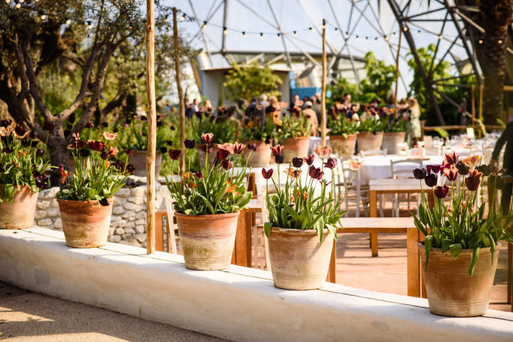 Bernice and Peter - A Rainforest Inspired Wedding At The Eden Project gallery image