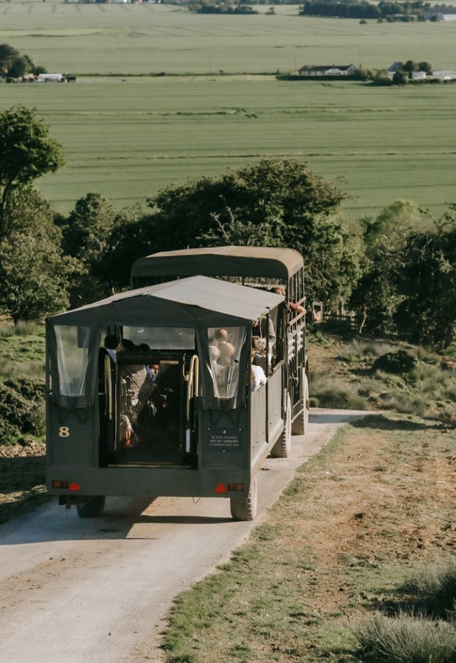 Wildlife Safari at Port Lympne in Kent 