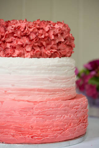 Elisabeth and Laurie - A DIY Wedding gallery image