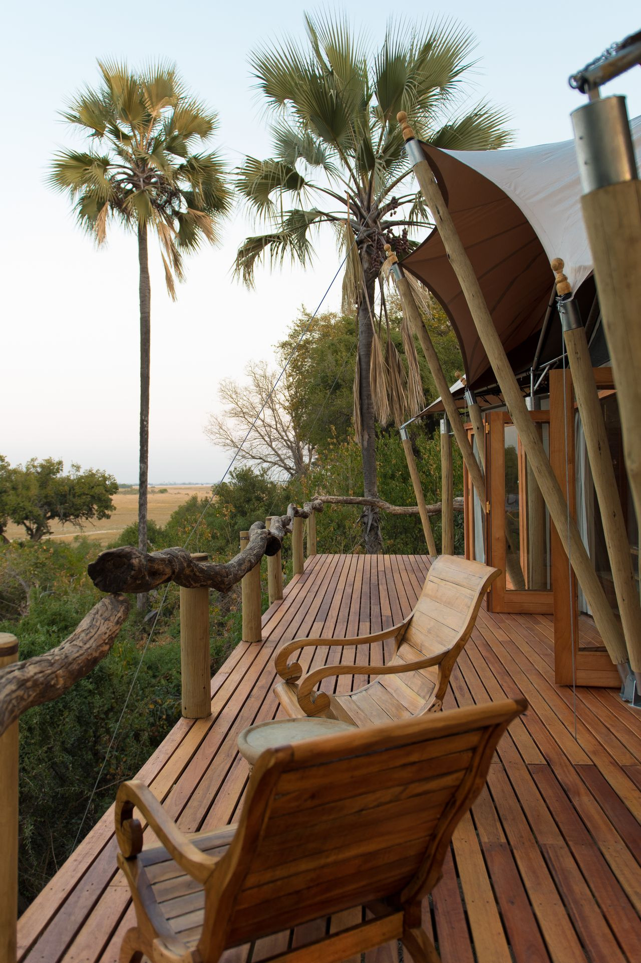 safari honeymoon