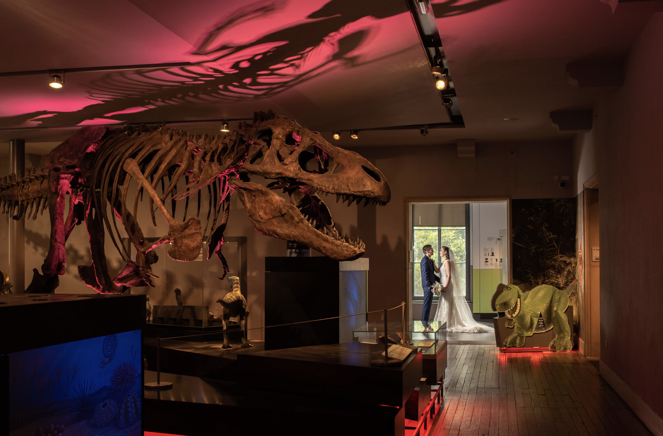 great north museum