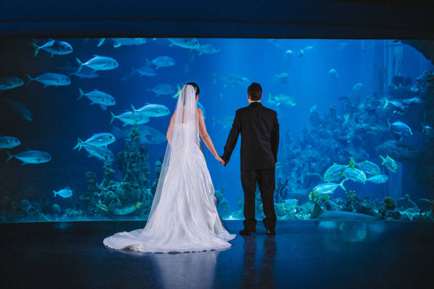 The Deep | Unusual wedding venues | Guides for Brides