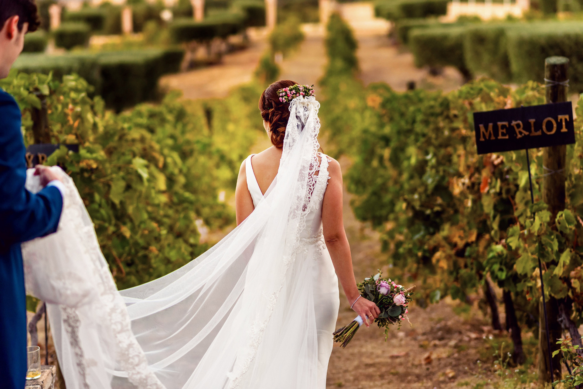 Bride and groom hosting wedding in a vineyard in Italy