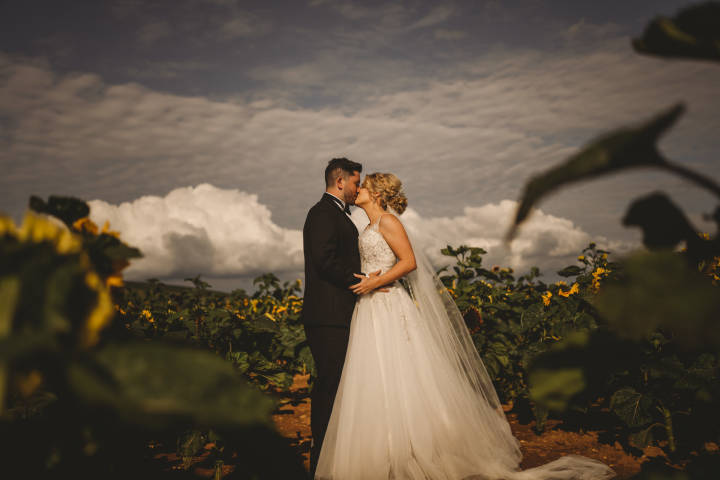Meghann and Joe - A Welsh Country House Wedding Venue gallery image