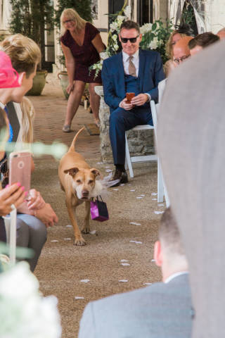 Olivia and Mark - A Soft Grey and Lavender Themed Wedding in Kent gallery image