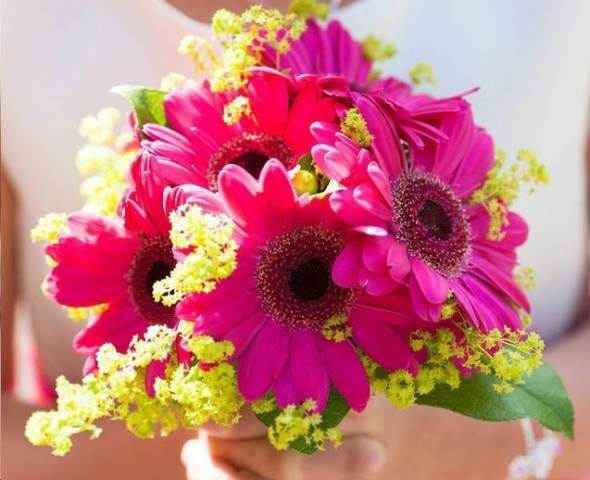 Sarah and Mike - A Traditional Big Day With A Cerise Pink Theme gallery image