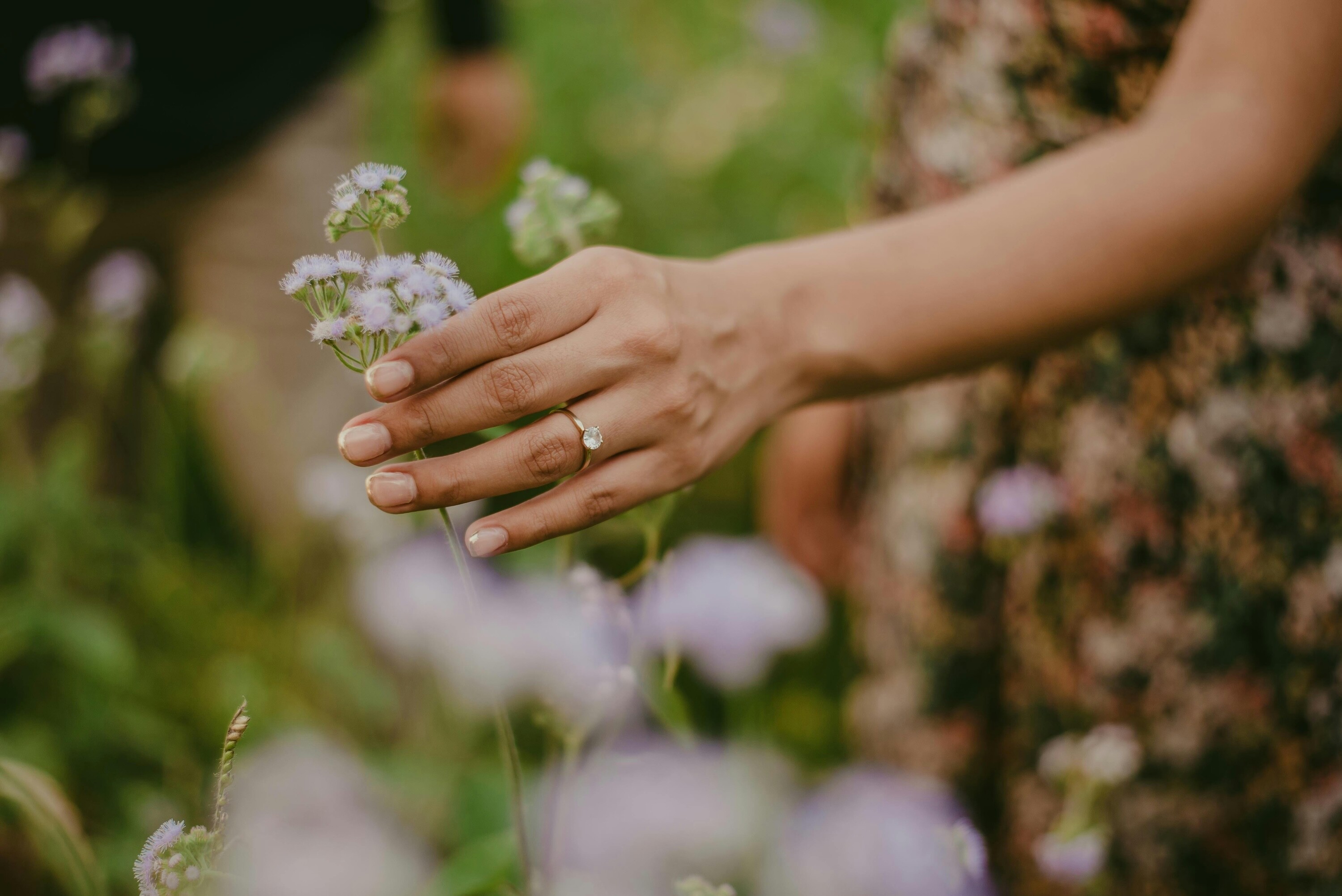 Close-up of an engagement ring held above a meadow of wildflowers.