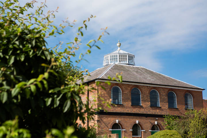 Sam and Sophie - A Romantic Christmas Proposal gallery image