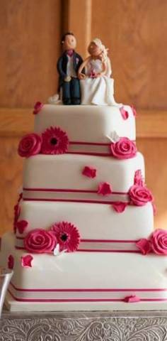 Sarah and Mike - A Traditional Big Day With A Cerise Pink Theme gallery image