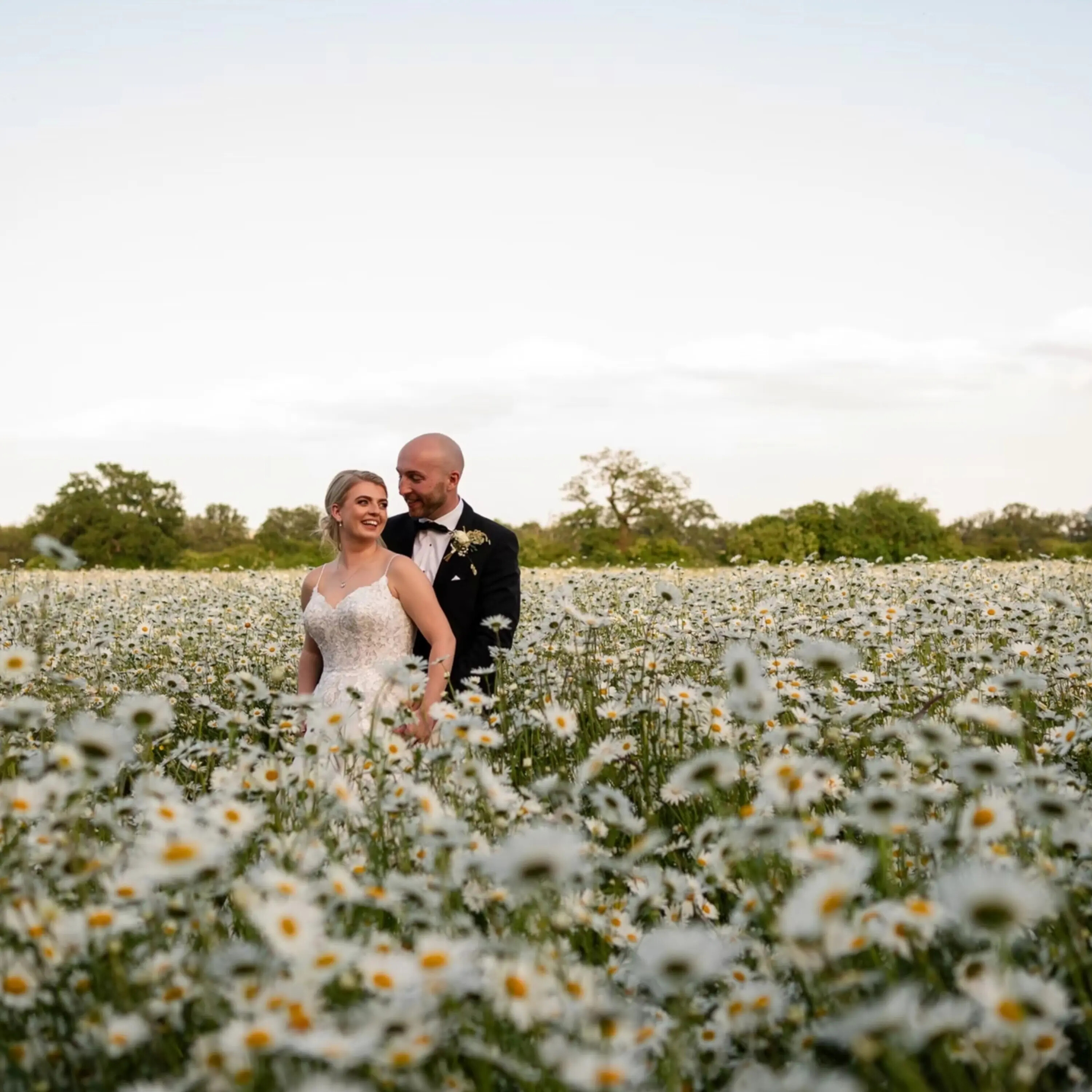 A couple in a field of daisys in wedding attire