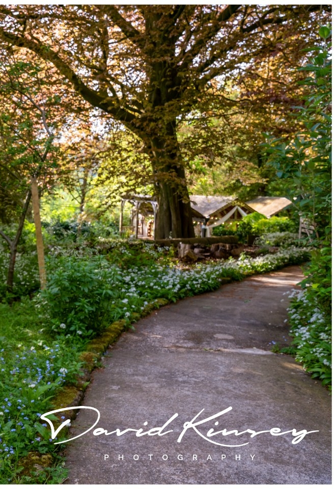 outside ceremony path
