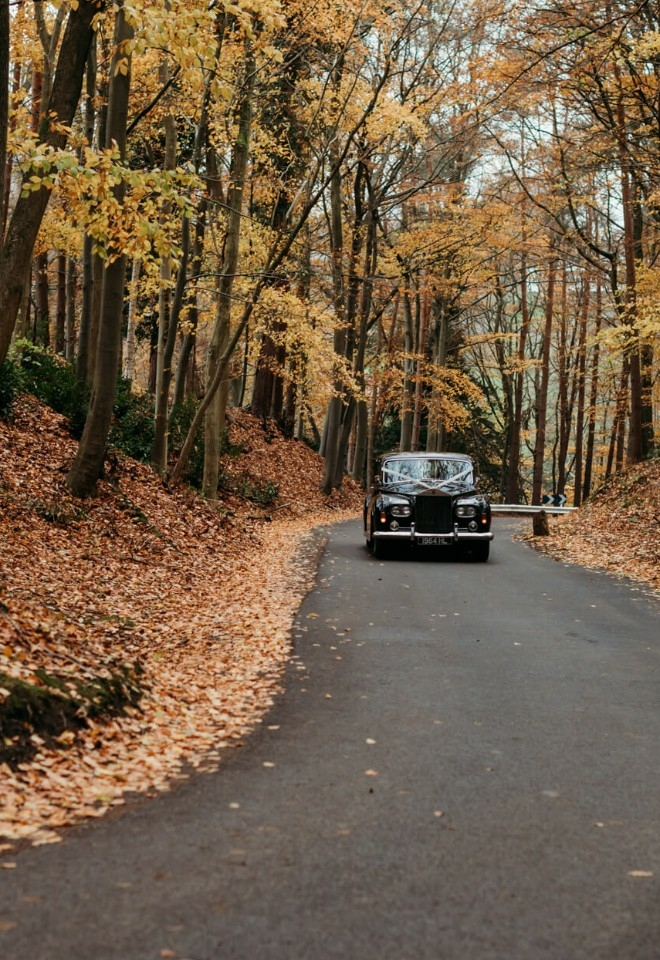 Vintage Car Driving up the autumnal driveway