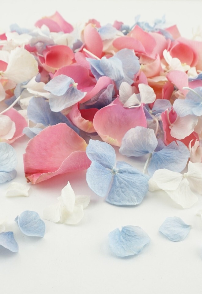 The Dried Petal Companys Biodegradable Wedding Confetti Rose & Hydrangea Summer Fete Mix