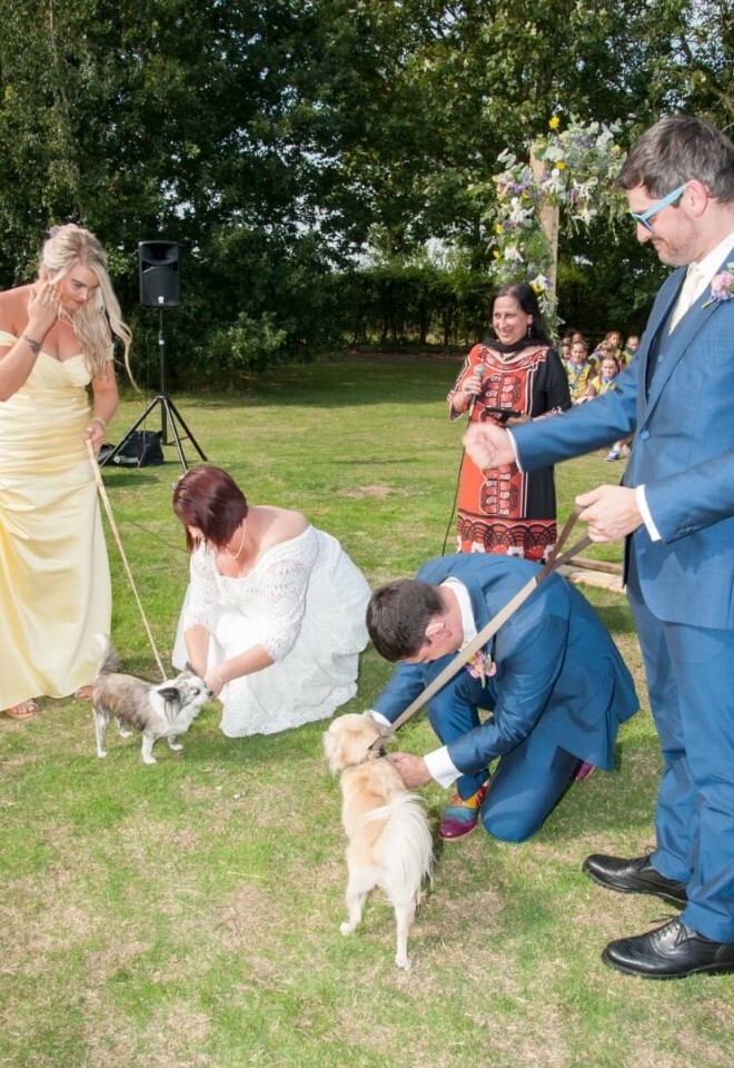 Sonal Dave - Independent Multicultural Wedding Celebrant