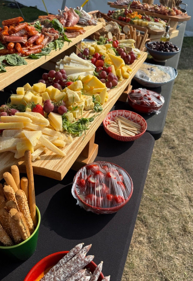 Antipasto grazing table with cured meats, cheese, breadsticks and fresh fruit at an outdoor wedding