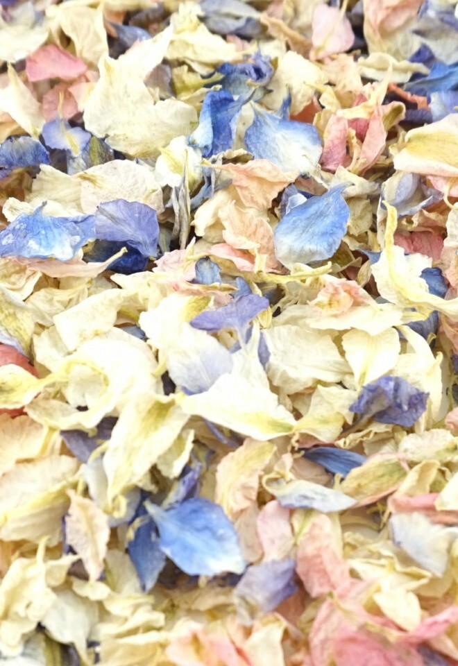 The Dried Petal Companys Biodegradable Wedding Confetti Larkspur Petals Vintage Mix Pink Cream Ivory Blue