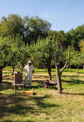 Berwick Lodge Gardens Bee Keeping