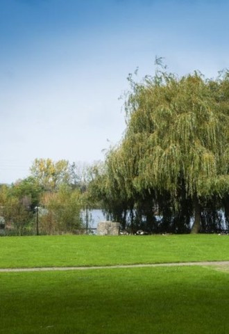 Garden Near Lake with Willow Tree at Holiday Inn Basildon Wedding Venue