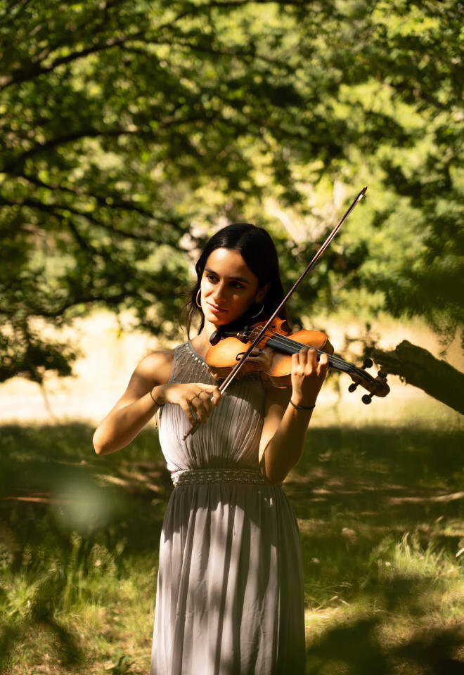 wedding violinist