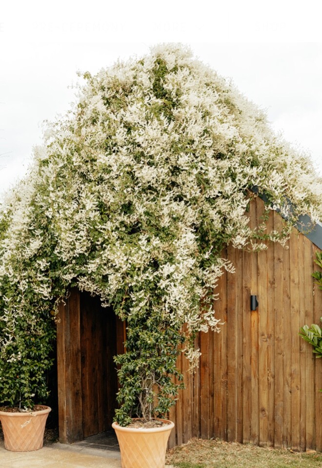 The Dairy Barn