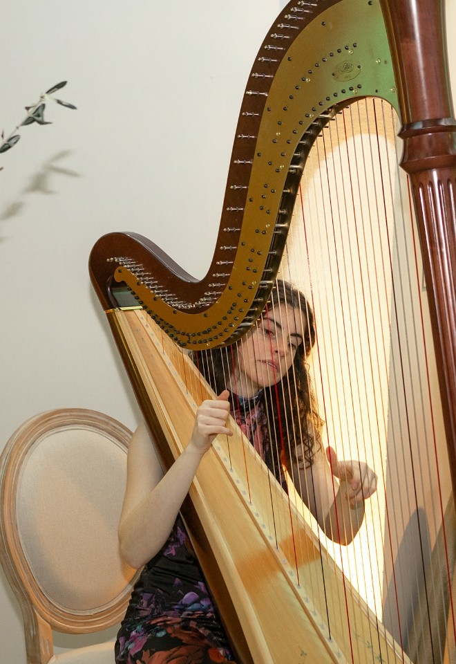 A more unique wedding venue - have a harpist for your wedding at the Ashmolean Museum 