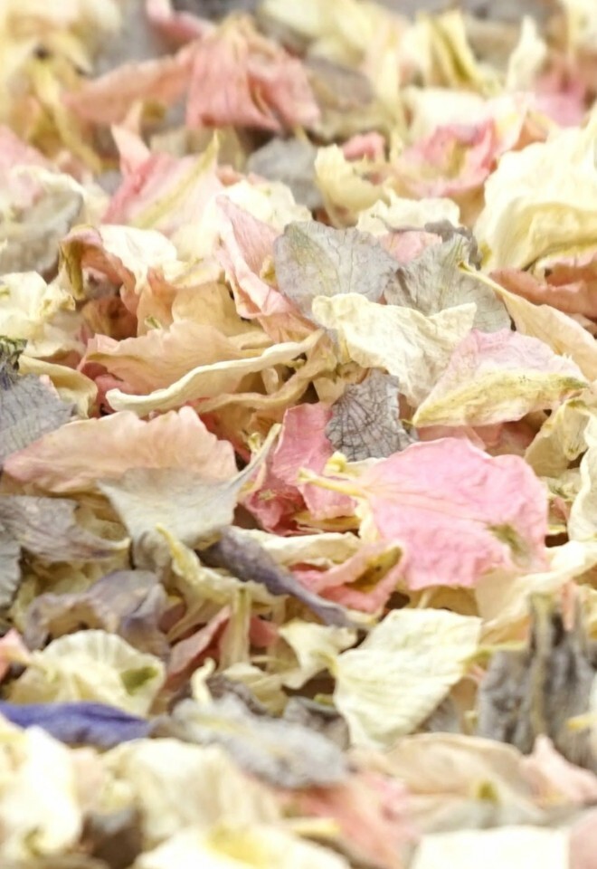 The Dried Petal Companys Biodegradable Wedding Confetti Larkspur Petals Rustic Mix Pink Cream Ivory Grey