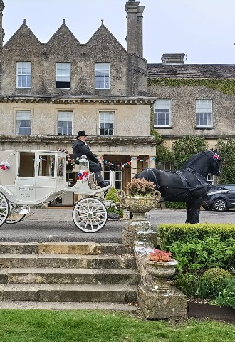 Bramble Farm Carriage hire for weddings black horse and white carriage
