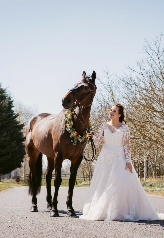 Wedding Horse