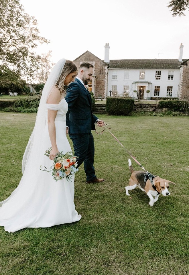 Dog friendly weddings at Glewstone Court