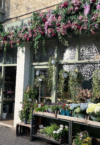 Oops a Daisy florist Cirencester