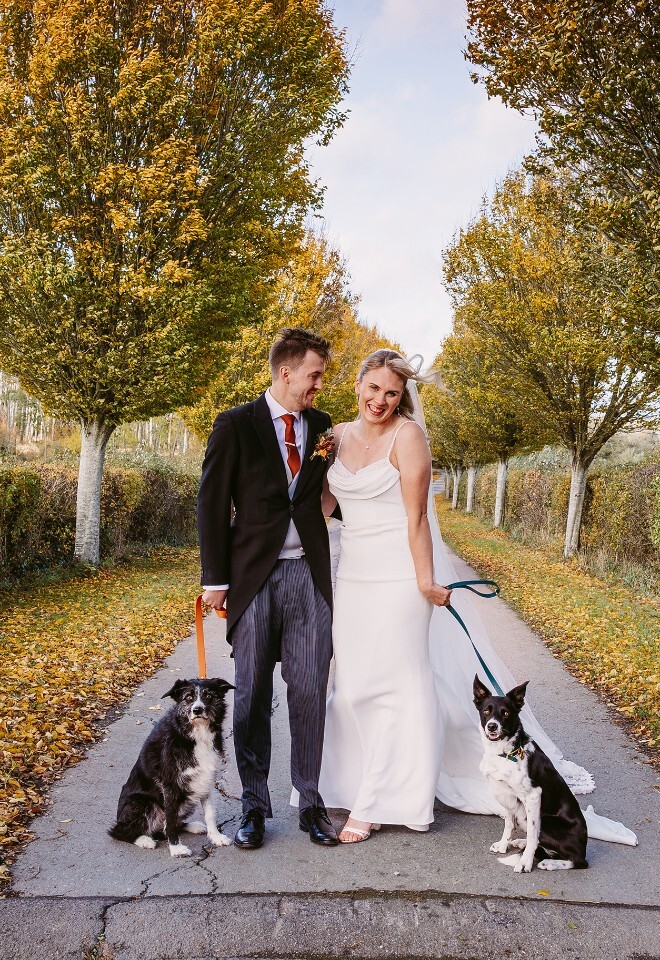Wedding portrait of a couple and their dogs standing on the tree-lined driveway at Merriscourt