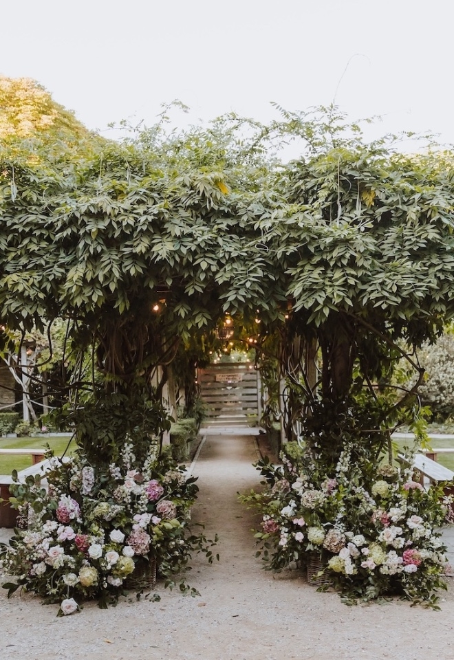 Outdoor Wisteria Aisle