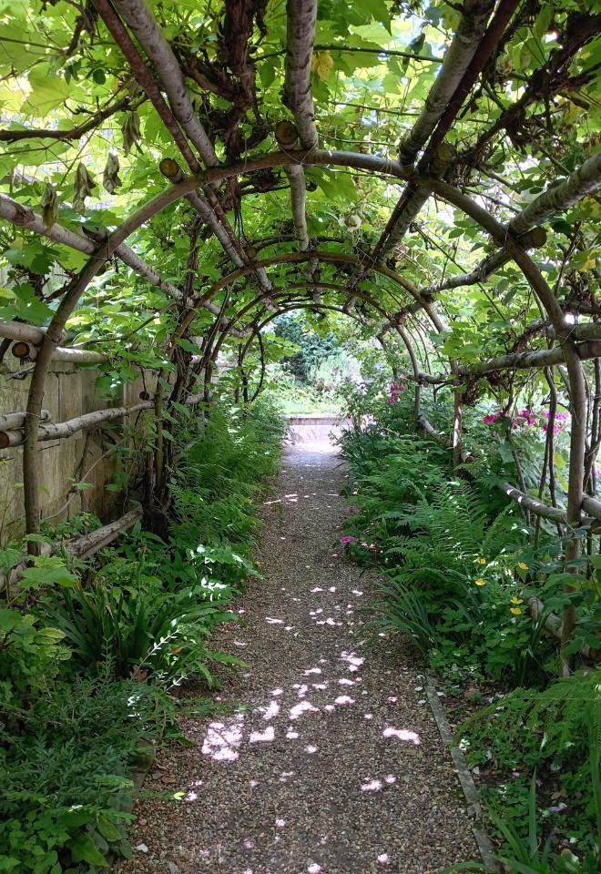 Vine tunnel wedding photo opportunity at The Great Hall in Winchester
