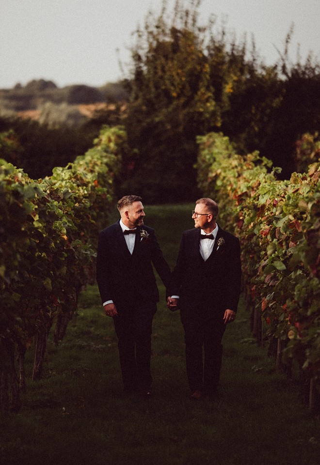Two grooms walk hand in hand through Copdock Halls vineyard on their wedding day
