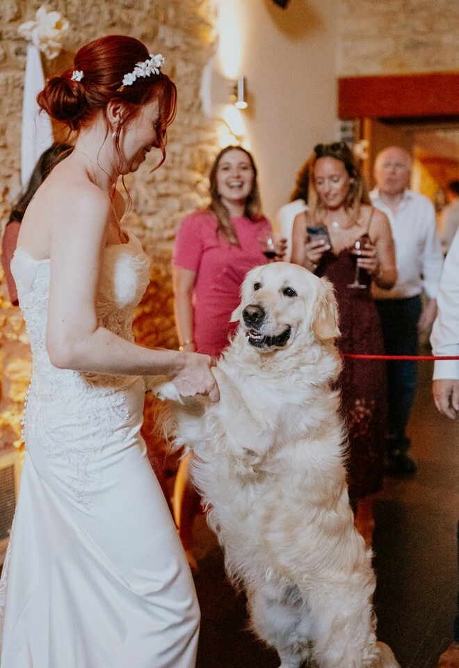 Dog Friendly weddings at Huntsmill Farm