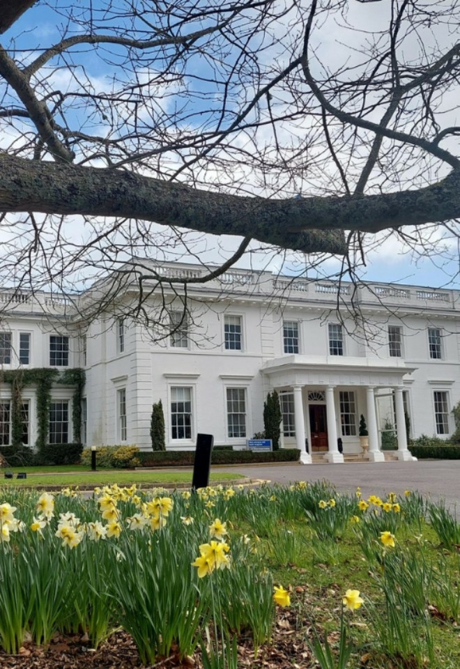 Greenlands in the Spring