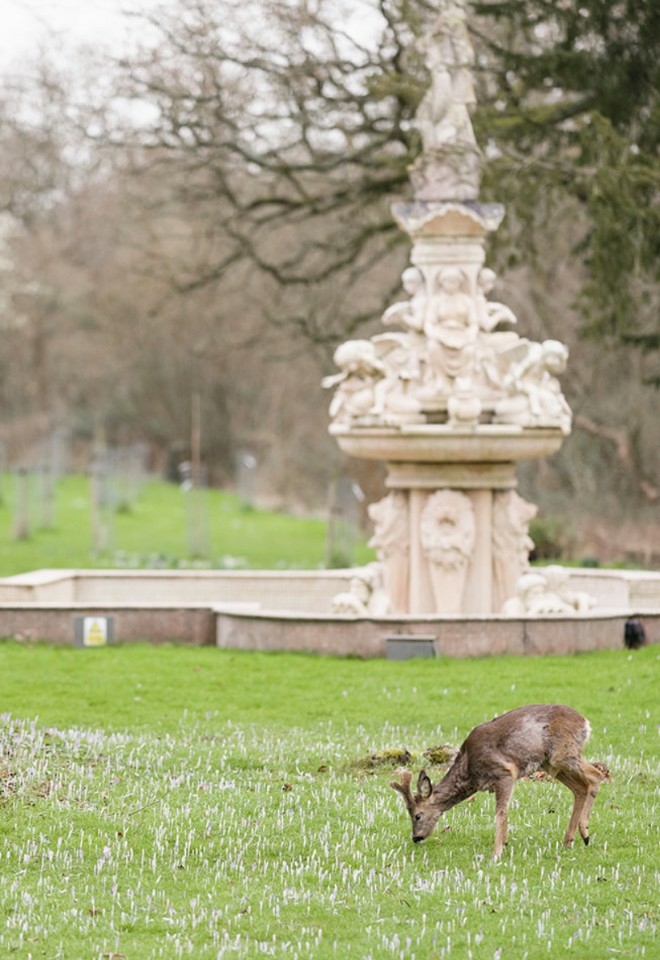 Berwick Lodge 18 acres of beautiful gardens