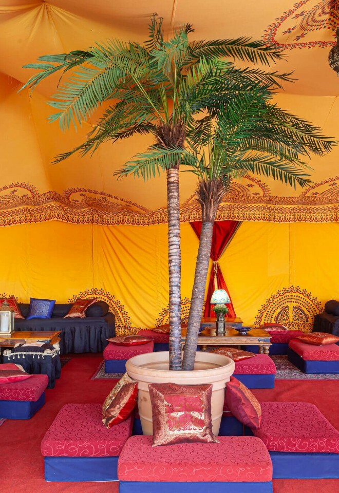 Luxury marquee with saffron linings and a giant potted palm tree