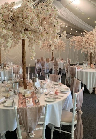 Marquee wedding with blossom trees and chivari chairs
