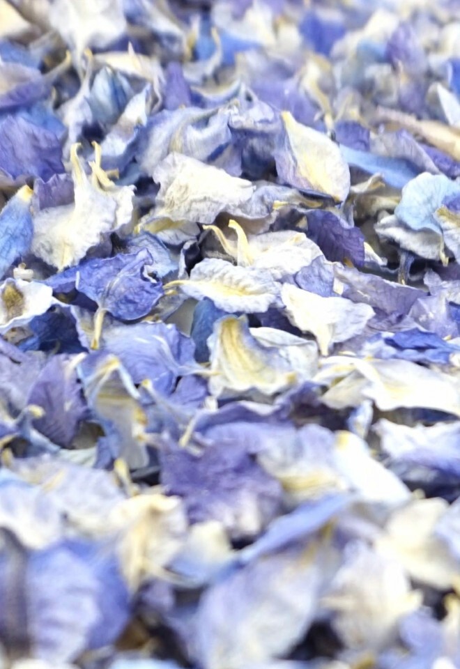 The Dried Petal Companys Biodegradable Wedding Confetti Larkspur Petals Iced Blue