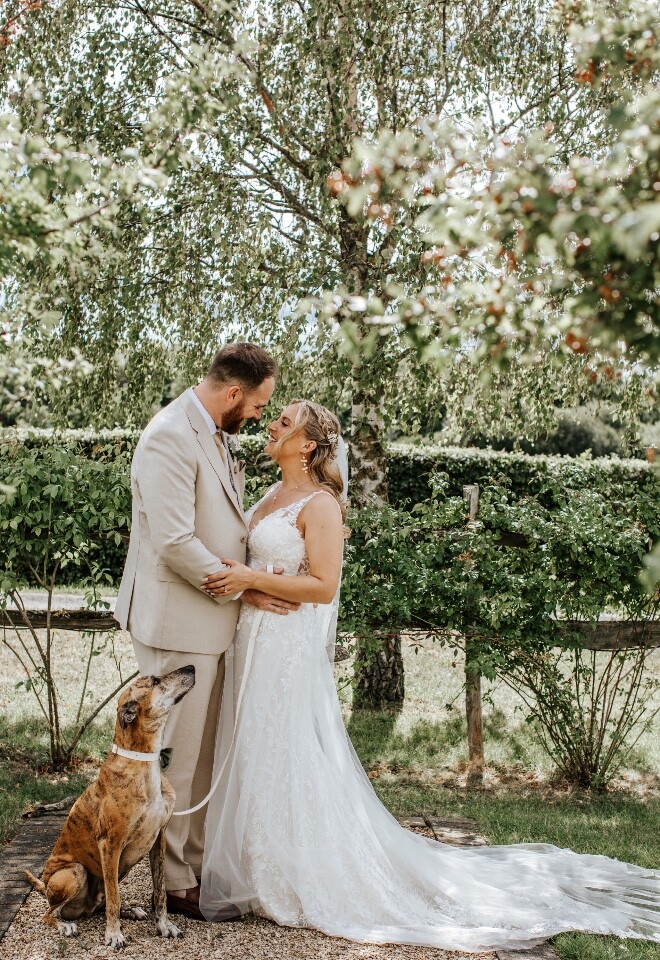 wedding dog
