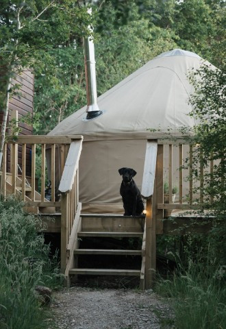 dog friendly luxury tree yurt, Eavestone Lake