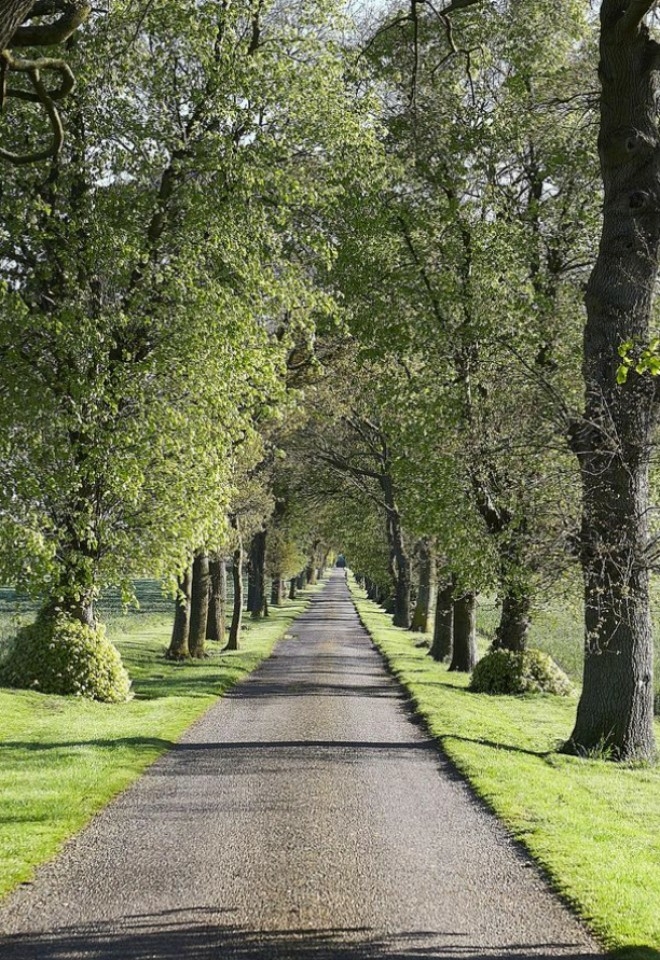 Tree lined driveway at Sywell Grange Wedding Venue